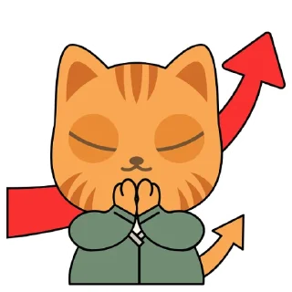 Video sticker 🙏 NEW Chichi