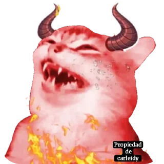Video sticker 👍 ƈąཞƖɛıɖყ