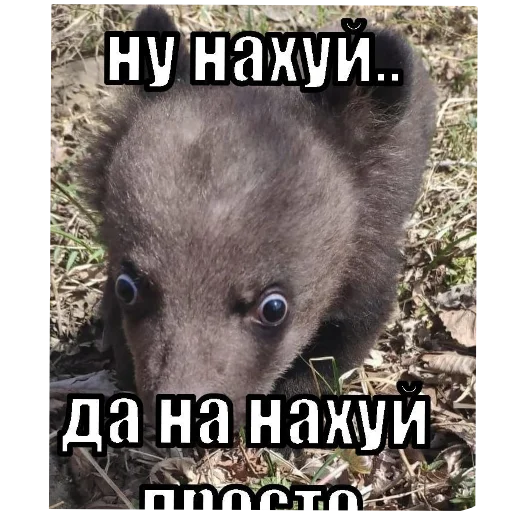 Telegram sticker 👍 NYASCHECHKA VKYSNACHECHKA