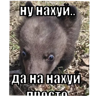 Video sticker 👍 NYASCHECHKA VKYSNACHECHKA
