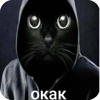 Video sticker 😀 NYASCHECHKA VKYSNACHECHKA