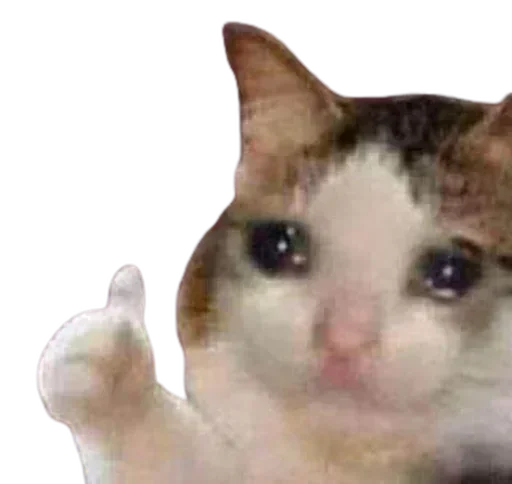 Телеграм стикер 👍 @donatekiss ~ stickers