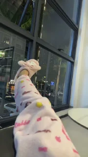 Video sticker 🦵 吱吱的贴图包 @zhizhiwoaini