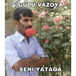 Video sticker 😀 turkish meme devasa paket