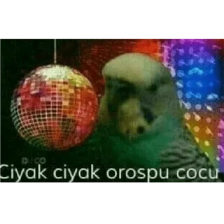 Telegram stiker 😀 turkish meme devasa paket