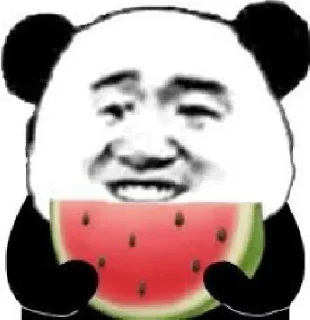 Video sticker 🤔 电报必备资源👉@wlop3