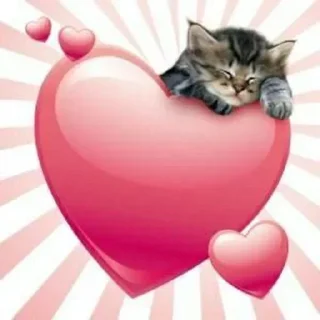 Video sticker ❤️ Топирчик кор : @topirchekk :: @fStikBot