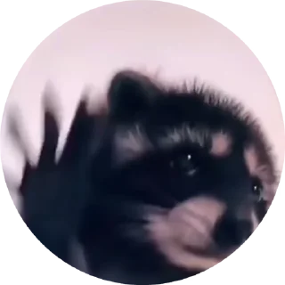 Video sticker 🕺 Nothing (@adityahun)