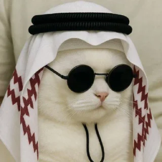 Sticker 🤩 Admiral @MoiStikiBot