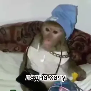 Video sticker 😏 Больше стиков тут: @stikery4