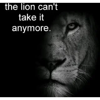 Video sticker 🦁 The lion | flossy