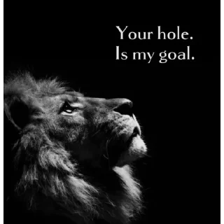 Video sticker 🦁 The lion | flossy