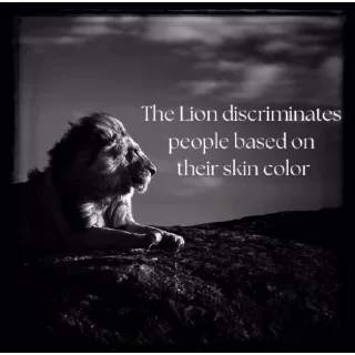 Video sticker 🦁 The lion | flossy