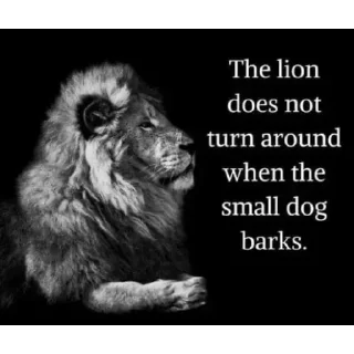 Telegram sticker 🦁 The lion | flossy