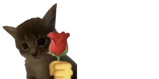 Telegram sticker ❤ GYMFAOOTPBIKYMFBAYBAN