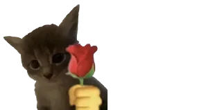 Video sticker ❤ GYMFAOOTPBIKYMFBAYBAN