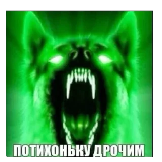 Telegram sticker 🫥 Котакбас