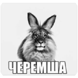 Telegram sticker 🫥 Котакбас