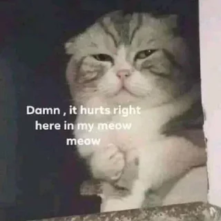 Video sticker 😢 Venkat_fav