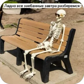 Video sticker 🫥 Жизнь посреда