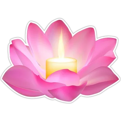 Telegram sticker 🌺 @Buddha_teaching