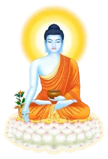 Video sticker ❤️ @Buddha_teaching