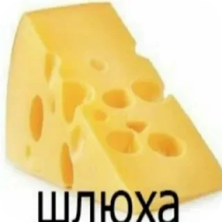 Video sticker 🍲 Саша дура