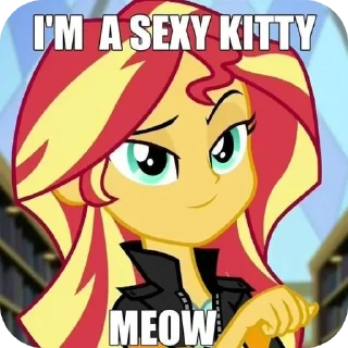 Video sticker 🖼 apxpcrjwakdlglgl