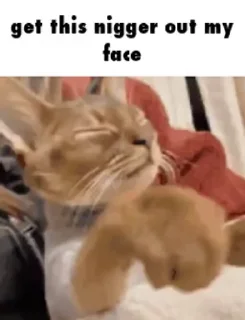 Video sticker 🌟 Brianna$leaze :: @fStikBot