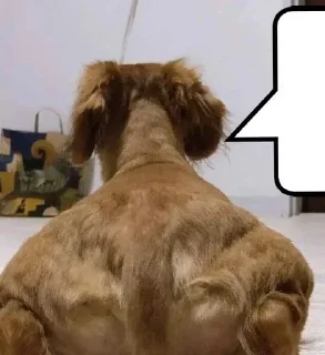 Телеграм стикер 💬 Все стикеры тг кликай и бери 👉 @stiki_tg_nah_canal