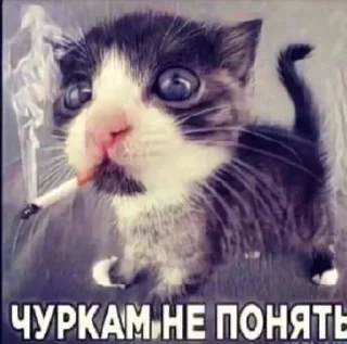 Telegram sticker 🚬 @emodziy