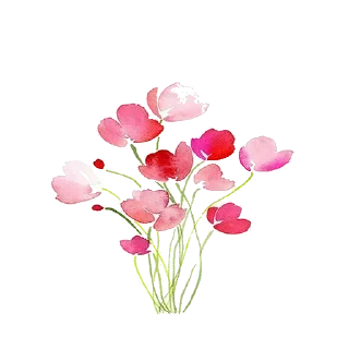 Video sticker 🌸 Separadores