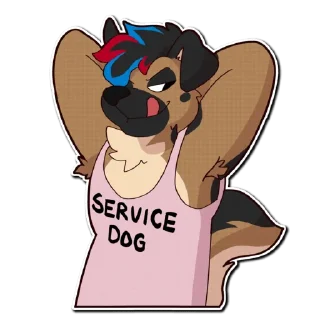 Video sticker 😉 Echo Shep