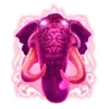 Video sticker 🐘 Нежа @NezhaHouse