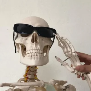 Telegram sticker 💀 Черепа