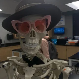 Telegram sticker 💀 Черепа