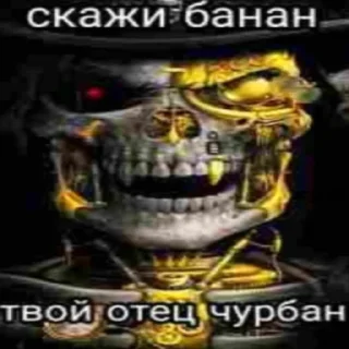 Video sticker 💀 Черепа