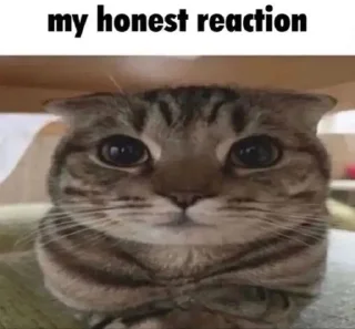 Telegram sticker 😐 🧿me fr by saaxiss :: @fStikBot