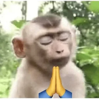 Telegram sticker 🙏 🧿me fr by saaxiss :: @fStikBot