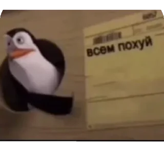 Video sticker 🐦 абвгдеёж