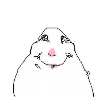 Video sticker 😀 Hamster