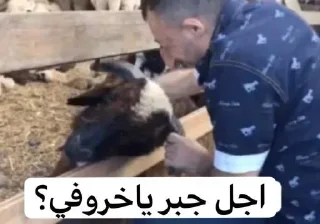 Telegram sticker 😂 @Mooayad | وهـم ‏ ‌‌‌‌‌‏⚚‌‌‌‌‌‏