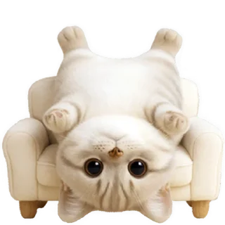 Telegram sticker 🙃 Супер милый кот @Nyasticks