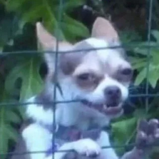 Sticker 💀 پک ساخت شیا