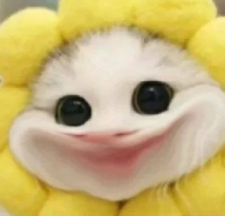 Telegram sticker 🙂 پک ساخت شیا