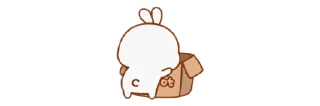 Video sticker 💌 𝒃𝒚:𝑹𝒏𝒐↝ @d6ffr 🐚 @FEEESE