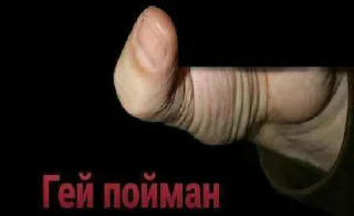 Video sticker 🤚 Гей пойман