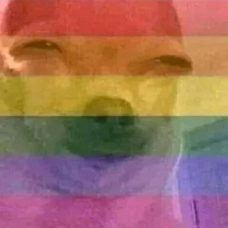 Video sticker 🏳️‍🌈 @Staboster تجمع شتبوستر العراق