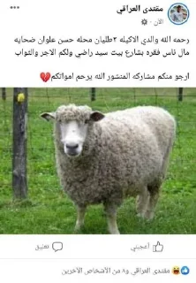 Telegram sticker 🐑 @Staboster تجمع شتبوستر العراق