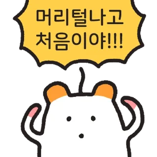 Telegram sticker ⭐ 일단 정상은 아님.. 주황귀 찍찍잉 @moe_sticker_bot